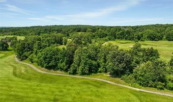 2100 Shane Ct, Addison Twp., MI 48370