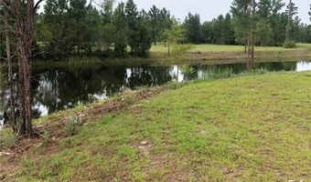 Tract 36 Lot 9 Hidden Lakes at Big Horse, Waynesville, GA 31566