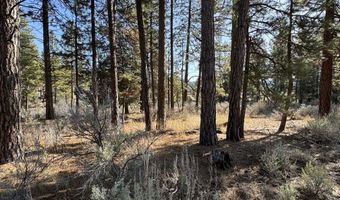 Copperfield Drive Lot 2, Chiloquin, OR 97624