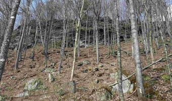 493 Wheeler Mountain Rd, Barton, VT 05822