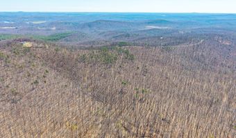 Larkin Mountain, Amherst, VA 24521