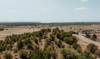 1933 S Canyon Dr, Apple Valley, UT 84737