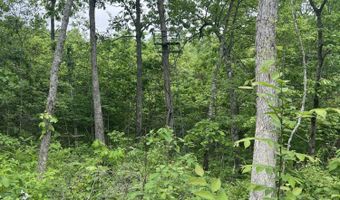 Tbd State Highway U, Ava, MO 65608