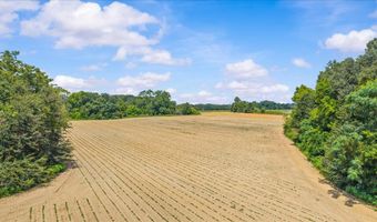 49 Cosby Rd, Ashford, AL 36312