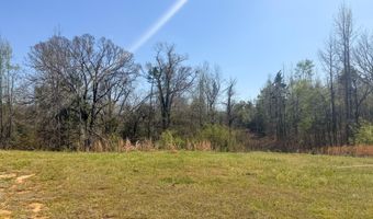1267 CR 115, Blue Mountain, MS 38619