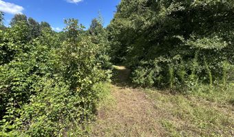 001 Farr Rd, Bolton, MS 39041