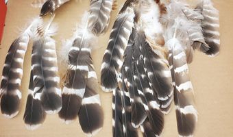 4775 S 50th Rd, Aldrich, MO 65601