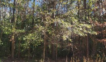 0 Lumpkin St, Albany, GA 31705