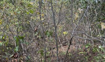 Hc 73 Box 4925 Track 20, Ava, MO 65608