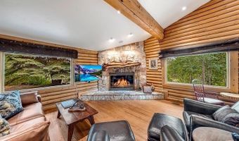 209 Deer Path Ln, Almont, CO 81230