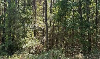 Appian Way, Baconton, GA 31716