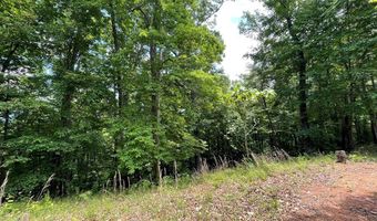 21 Collett Woods Trl Lot #21, Andrews, NC 28901
