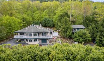 536 E Shore Dr, Adirondack, NY 12808