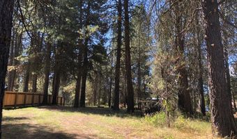 1909 Gold Dust Rd 60, Cascade, ID 83611