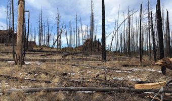 2025 Granite Rd, Bellvue, CO 80512
