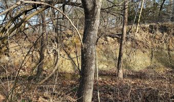 4775 S 50th Rd, Aldrich, MO 65601