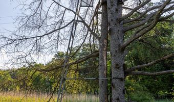 28 Mile Rd, Albion, MI 49224