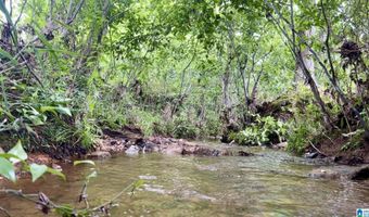 988 MINES Rd 100, Ashland, AL 36251
