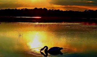 54 BEACH Ave, Bayville, NJ 08721