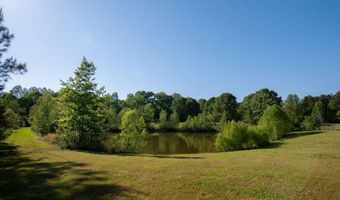 290 Abigail Ln, Bentonia, MS 39040