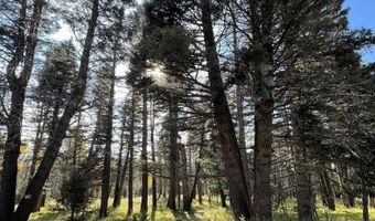 Lot 1319 Pleasant Valley Overlook, Angel Fire, NM 87710