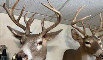 27450 SW 32nd Rd, Beatrice, NE 68319