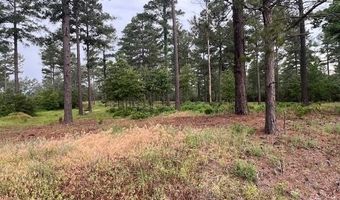 2 N 4140 Rd, Antlers, OK 74523