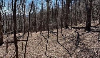 Tdb Nettles Ridge Road, Banner Elk, NC 28604