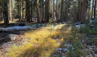 550 Cabbage Patch Log Rd, South Lake Tahoe, CA 95223