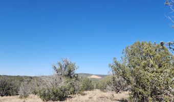 3214 N Kerren Lp, Ash Fork, AZ 86320