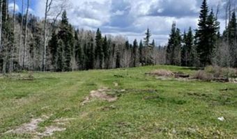 4558 Middle Mountain Rd, Bayfield, CO 81122