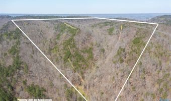 163 Acres Duck Springs Rd, Attalla, AL 35954