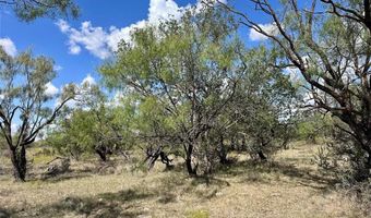 Tbd TBA County Road 100, Abilene, TX 79601