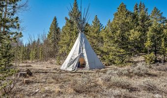 495 EDGEWOOD Rd, Alma, CO 80420