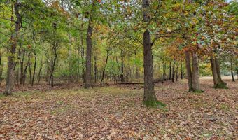 31703 HICKORY MANOR Rd, Frankford, DE 19945