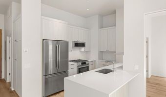 101 Willits Way 202, Basalt, CO 81621