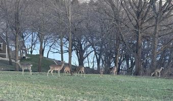 8 A212 Adams Court Lot 8A213 Adams Ct, Apple River, IL 61001