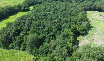 Lower Big Sandy Road, Big Sandy, TN 38221