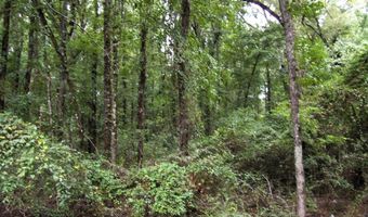 120 Little River 180, Ashdown, AR 71822