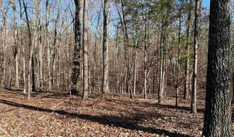 SPRINGHOLLOW ROAD lot 11, Ashville, AL 35953