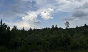 Nc 33 Off, Aurora, NC 27806