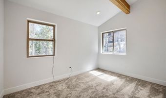 145 Spruce St, Alma, CO 80420