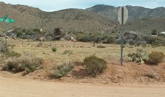 308-06 377a Schuylkill Ave, Chloride, AZ 86431