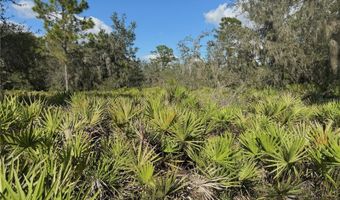 0 ALTURAS BABSON PARK CUT OFF Rd, Bartow, FL 33830