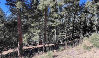 Back Basin Rd lot 156, Angel Fire, NM 87710