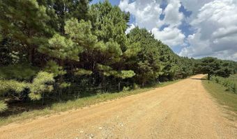 25 Acres Silo Rd, Altoona, AL 35952