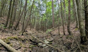 Stewart Road, Addison, NY 14801