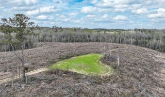 919 County Road 6628, Banks, AL 36005