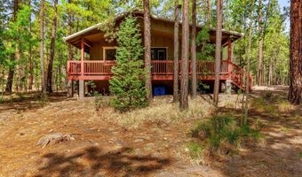 56 Co Rd 2266, Alpine, AZ 85920