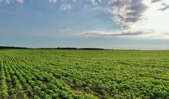 TBD Hwy 14, Allison, IA 50602